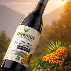 Himalayan Sea Buckthron Concentration